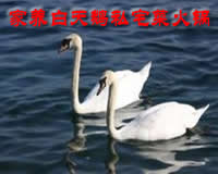 早餐视频教学完整版，装之前先看这几处